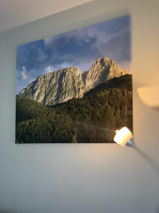 Apartament Lesny Z Kominkiem - Viva Pod Giewontem Apartamenty Zakopane Ngoại thất bức ảnh